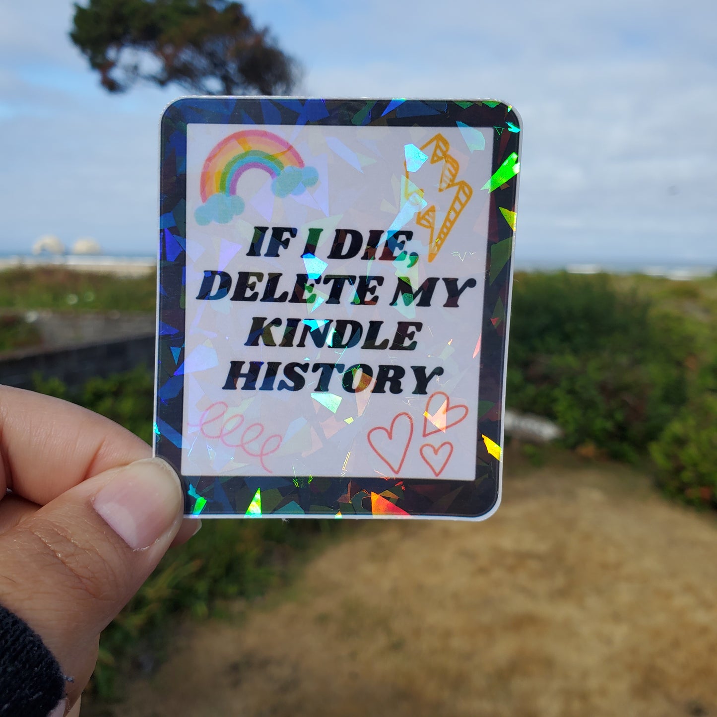 If I Die, Delete My Kindle History Sticker